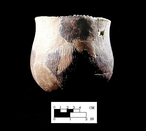 Keyser cord-marked vessel with notched rim from the Hughes site, 18MO1-SI Cat.# 401987-Courtesy of the Smithsonian Institution, Museum of Natural History, Department of Anthropology.